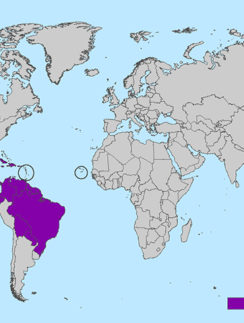 Zika virus map March 2016