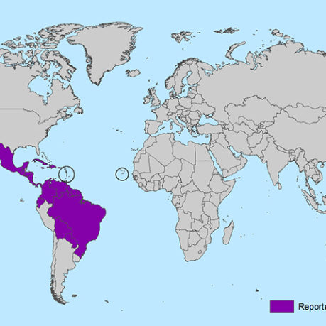 Zika virus map March 2016