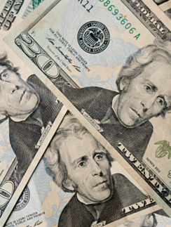 Twenty dollar bills currency cash money