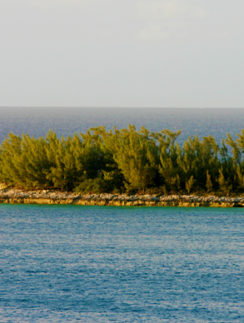 Lighthouse Bahamas