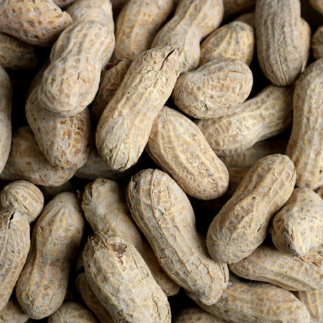 Peanuts