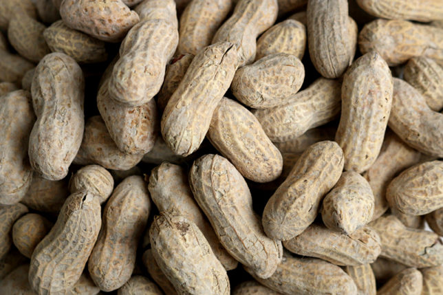 Peanuts