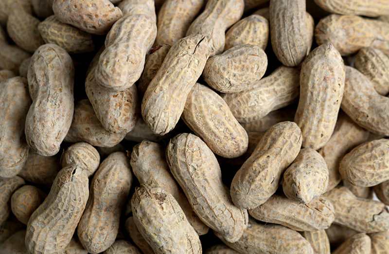 Peanuts