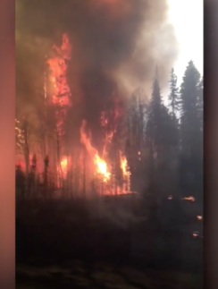 Fort McMurray fires