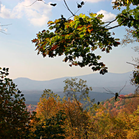 Amicalola Falls in Dawson County