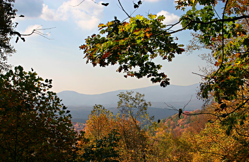 Amicalola Falls in Dawson County