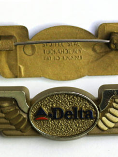 A wing pin of Delta Air Lines