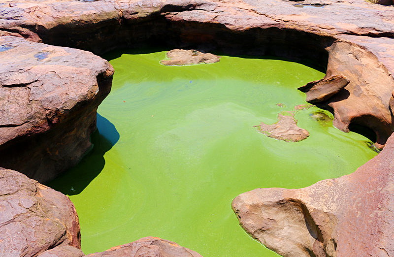 Matsieng Footprints