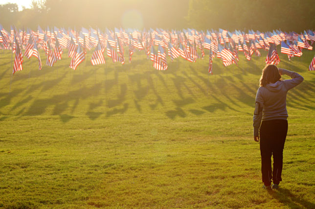 Flags Kennesaw Mountain National Battlefield Park