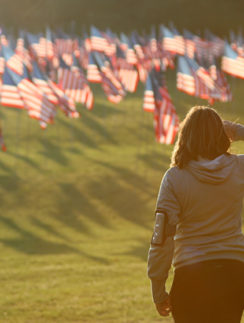 Flags Kennesaw Mountain National Battlefield Park