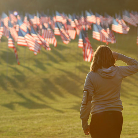 Flags Kennesaw Mountain National Battlefield Park