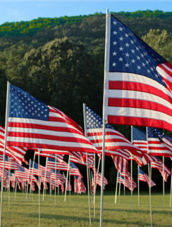 Flags Kennesaw Mountain National Battlefield Park