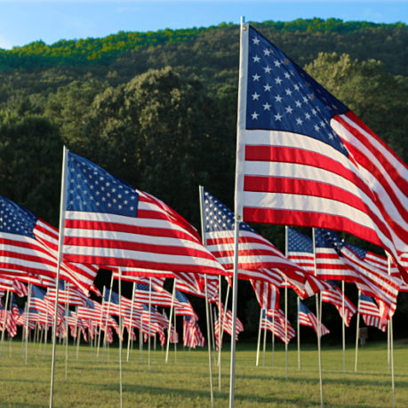 Flags Kennesaw Mountain National Battlefield Park
