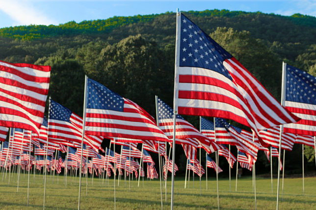 Flags Kennesaw Mountain National Battlefield Park