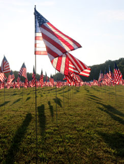 Flags Kennesaw Mountain National Battlefield Park