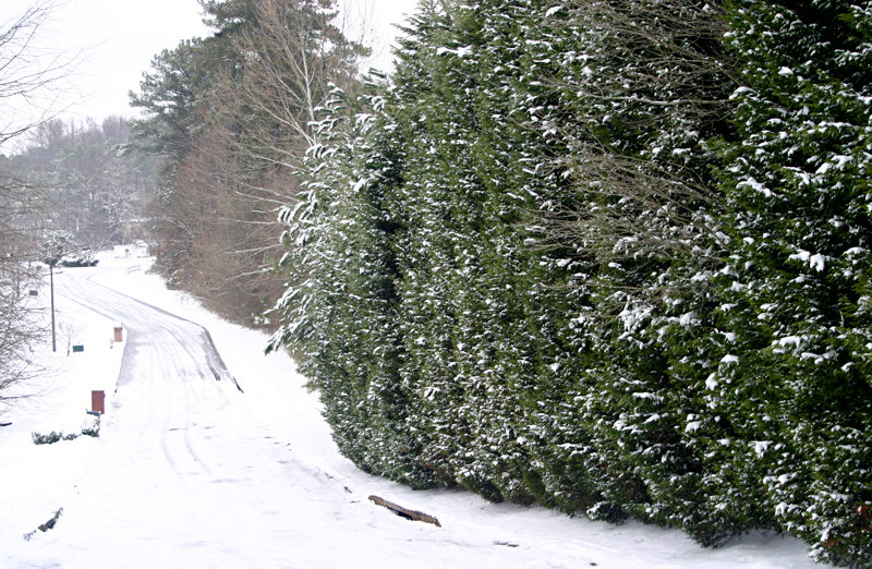 Snow street