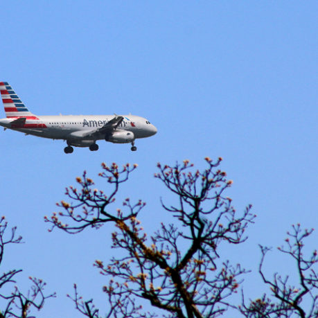 american airlines