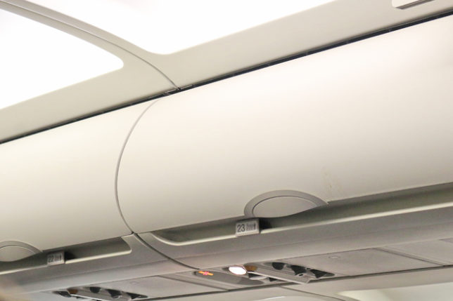 Overhead storage bin