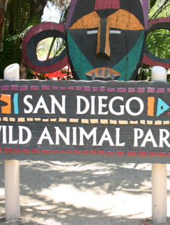 San Diego Wild Animal Park