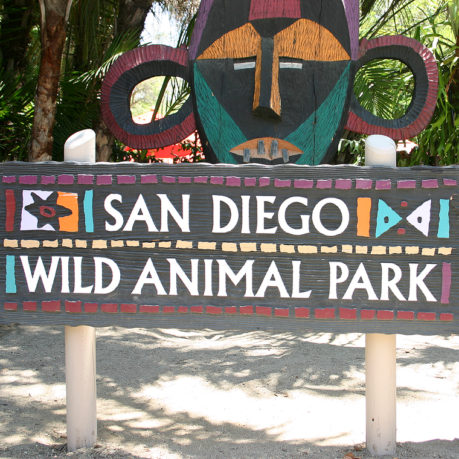 San Diego Wild Animal Park