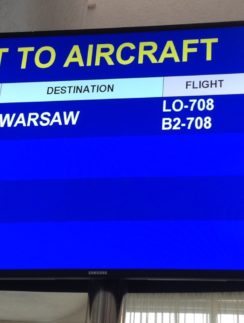 Gate at Minsk National Airport