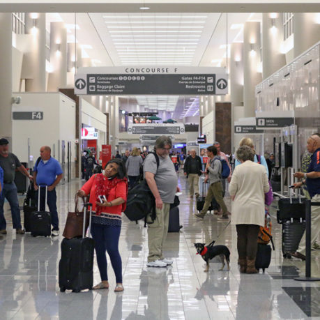 KLM Atlanta to Amsterdam dog