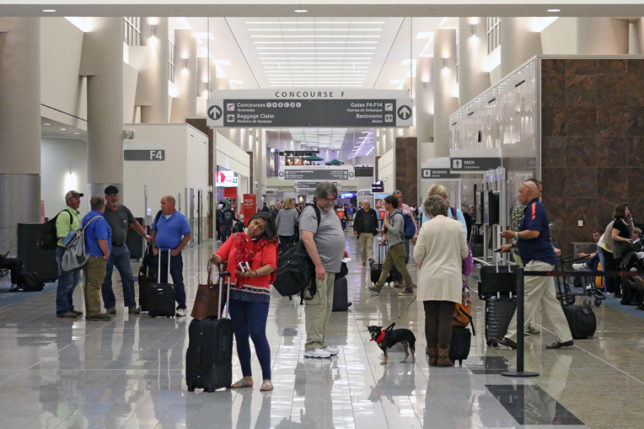 KLM Atlanta to Amsterdam dog