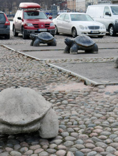 Concrete Turtles in Helsinki