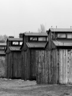 Auschwitz-Birkenau