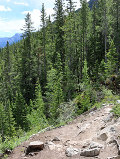 Grassi Lakes near Canmore Alberta