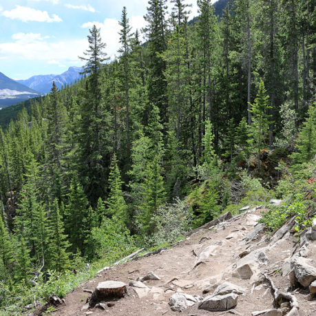 Grassi Lakes near Canmore Alberta
