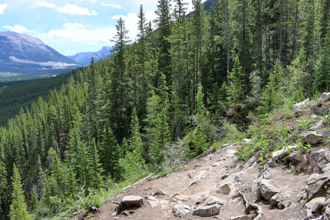 Grassi Lakes near Canmore Alberta