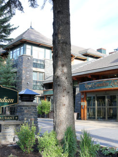 Delta Hotels Banff Royal Canadian Lodge