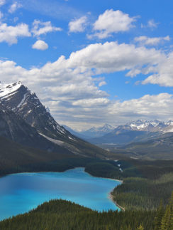 Peyto Glacier and Bow Summit