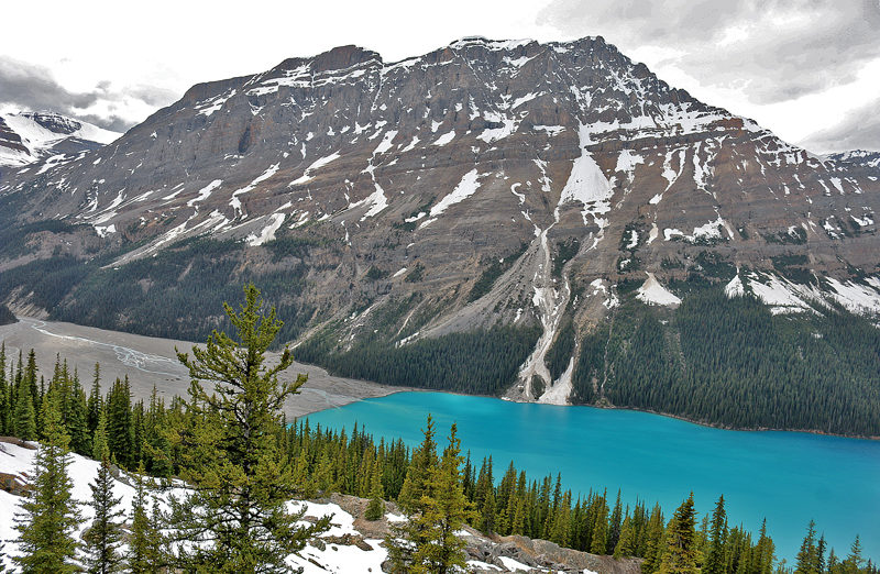 Peyto Glacier and Bow Summit