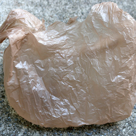 plastic shopping bag