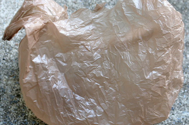 plastic shopping bag