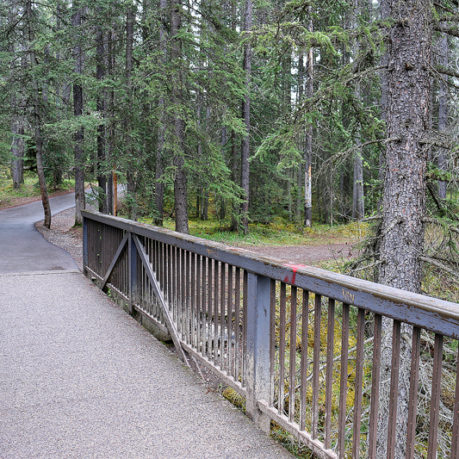 Johnston Canyon Banff Canada