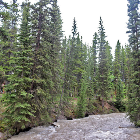 Johnston Canyon Banff Canada