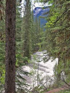 Johnston Canyon Banff Canada