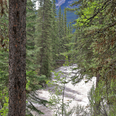 Johnston Canyon Banff Canada