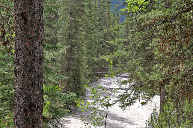 Johnston Canyon Banff Canada