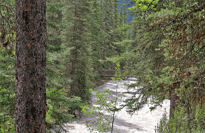 Johnston Canyon Banff Canada