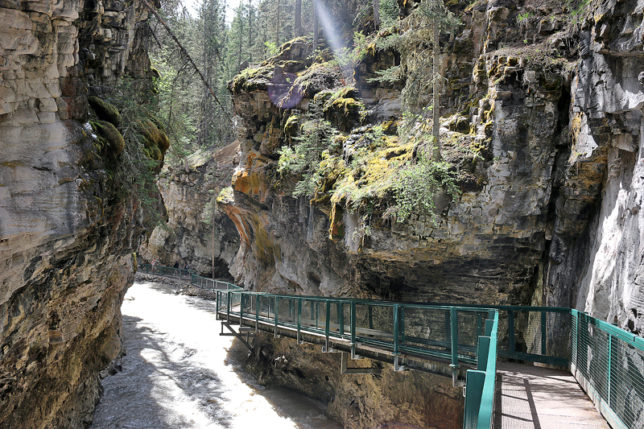 Johnston Canyon