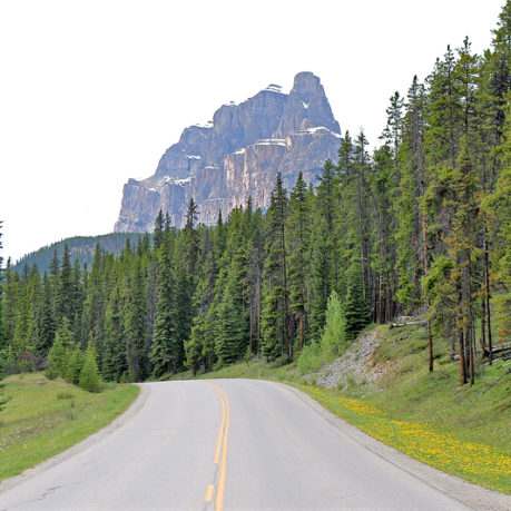 Castle Mountain Bow Valley Parkway