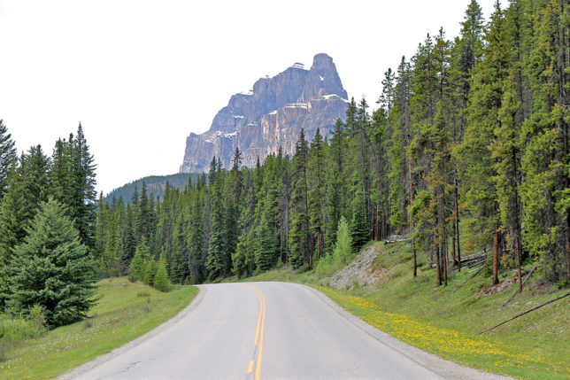 Castle Mountain Bow Valley Parkway