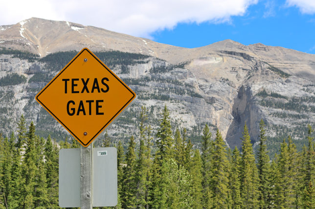 Texas Gate