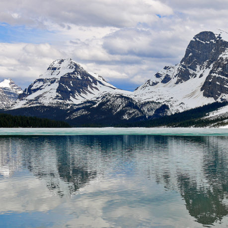 Bow Lake and Bow Glacier