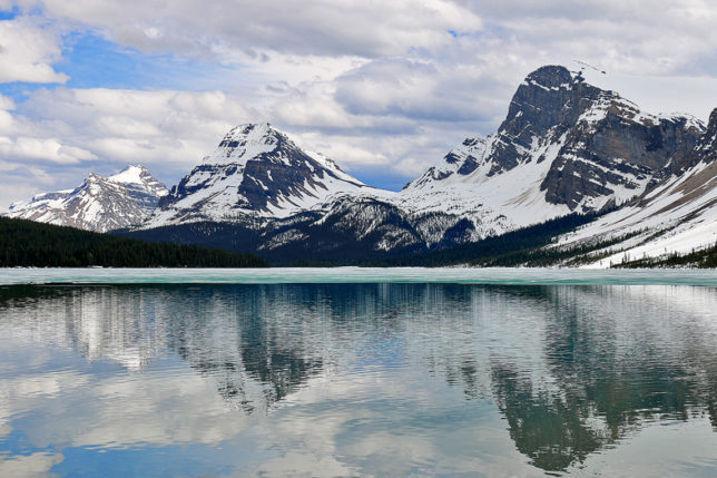 Bow Lake and Bow Glacier