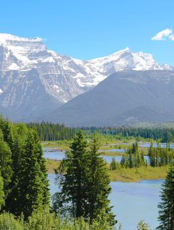 Mount Robson Lodge